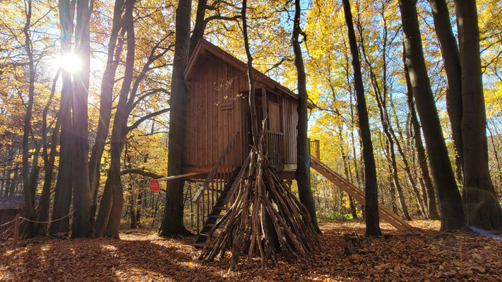 Baumhaus bei Sonnenschein mit Herbstlaub.