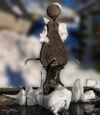 Fontaine glacée en pierre de lave essaie de devenir vivante - Murat le Quaire - Massif du Sancy - Auvergne - France