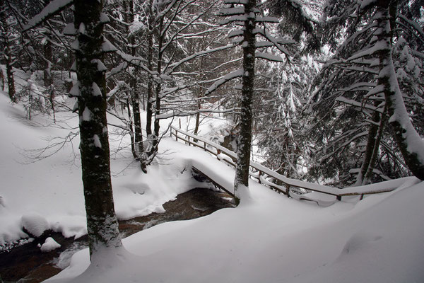 Pont du Rossignolet-Le Mont Dore (Auvergne) Février 2006