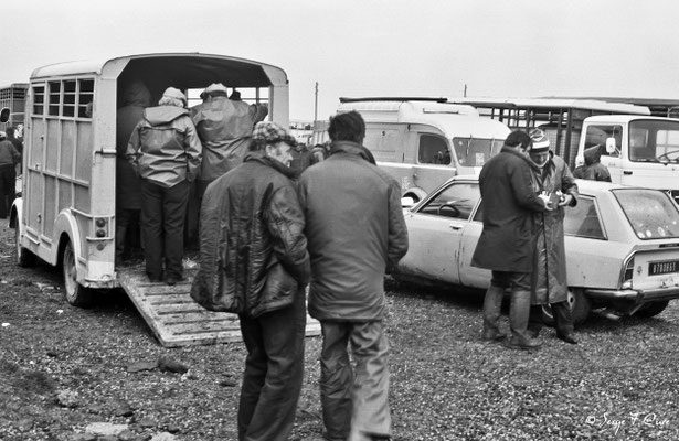 Foire de Giat (les bestiaux) - Auvergne - France (1978)