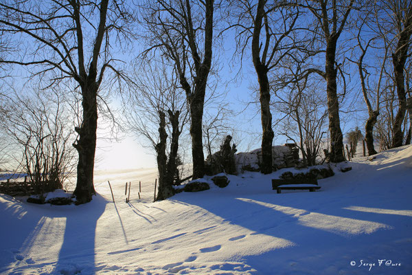 Murat le Quaire  - Auvergne - France