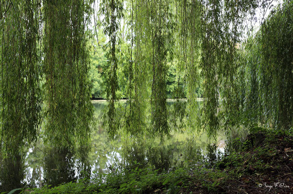Parc du château d'Anet - Diane de Poitiers - XVIème siècle (Anet - Eure et Loire)