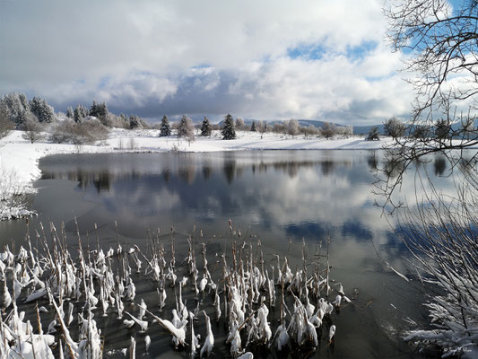Plan d'eau du pré Cohadon - Murat-le-Quaire - Massif du Sancy - Auvergne - France