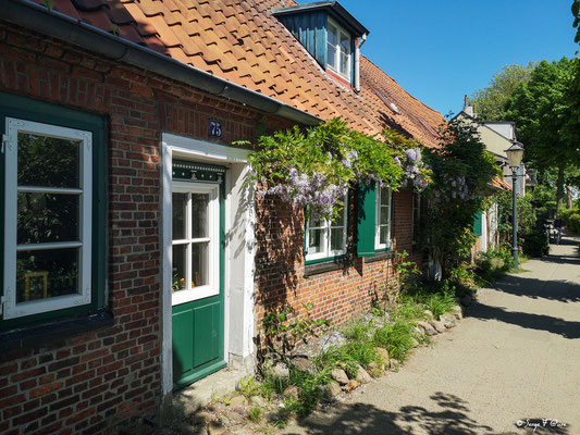 Vieilles maisons de pêcheur le long de l'Elbe- Hambourg - Allemagne - Hamburg - Deutchland