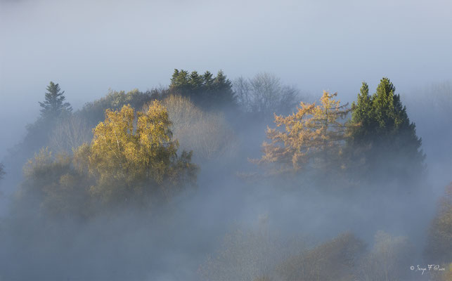 Mer de nuages dans le Massif du Sancy - Auvergne - France
