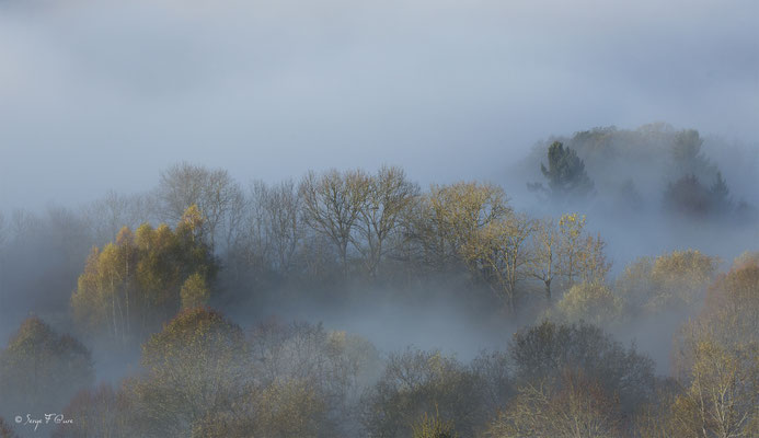 Mer de nuages dans le Massif du Sancy - Auvergne - France