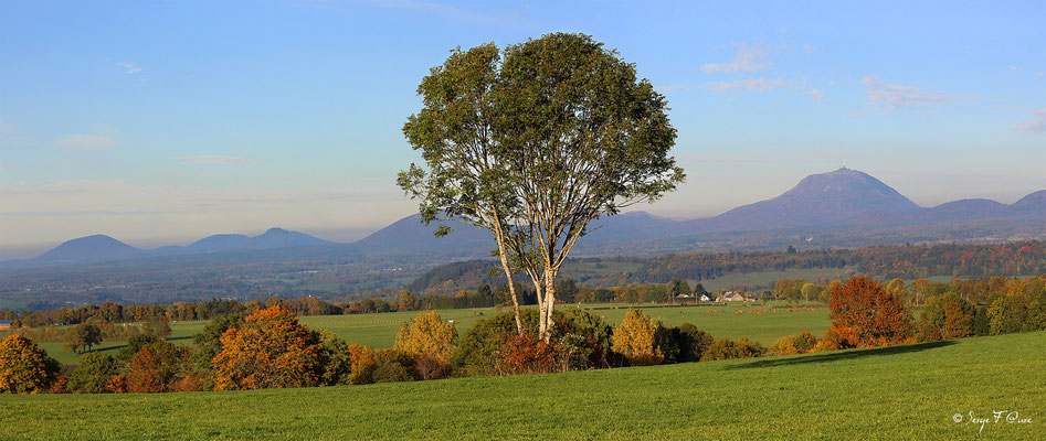 Au gré des champs dans le massif du Sancy - Auvergne - France - Vue panoramique
