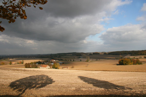 Paysage d'Allier (Novembre 2007)
