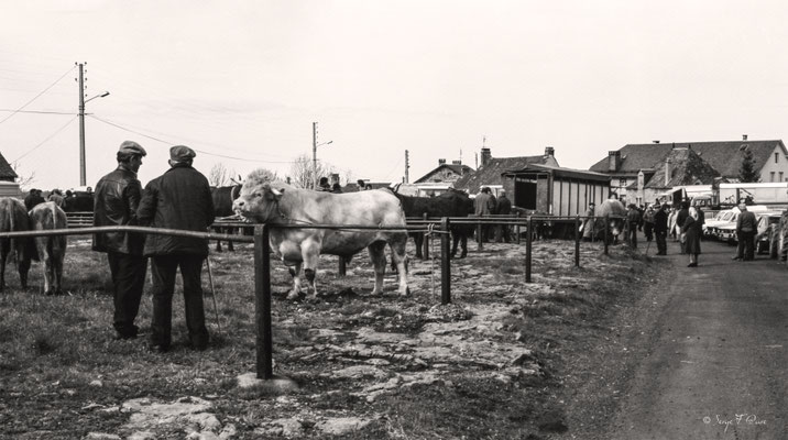 Foirail de la Tour d'Auvergne en 1979 - Puy de Dôme - Auvergne - France