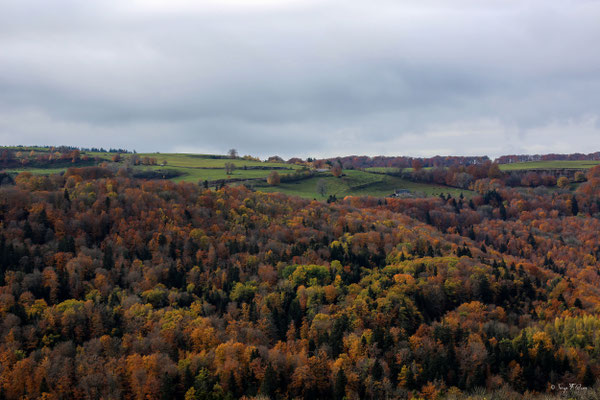 Magie des couleurs d'automne du plateau de Charlannes jusqu'à St Sauves d'Auvergnes - Massif du Sancy - Auvergne - France