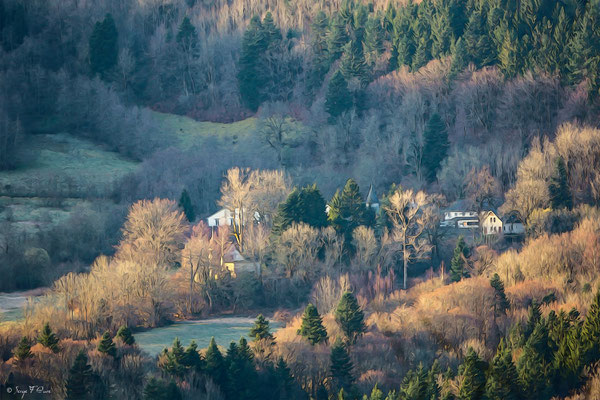 Le Domaine de Fohet dans les bois de Charlannes - La Bourboule - Massif du Sancy - Auvergne - France