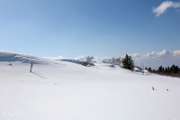Les plaines brûlées - Chastreix Sancy - Auvergne - France