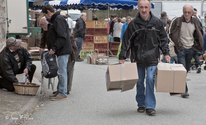 Foire de Giat - Auvergne - France  (2017)