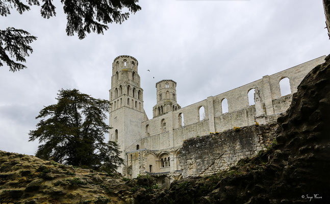 Vestiges de l'abbaye de Jumièges - Normandie - France