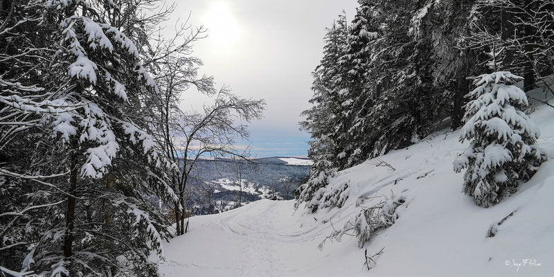 Vue sur St Sauves sous la neige - Murat le Quaire - Massif du Sancy - Auvergne - France