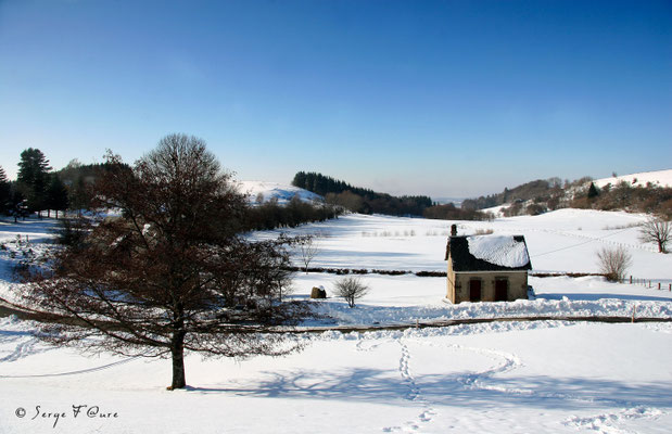 Paysage de neige à Murat le Quaire - Massif du Sancy - Auvergne - France