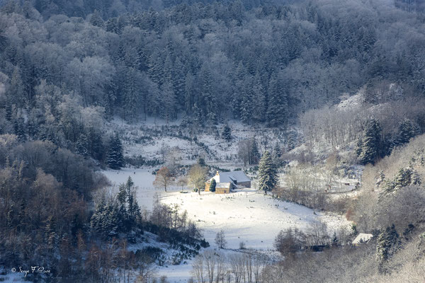 Lieu-dit Chibet (commune de St-Sauves d'Auvergne) - Massif du Sancy - Auvergne - France