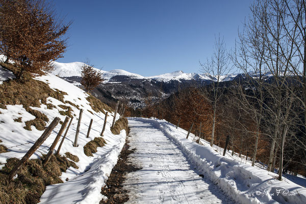 Vue sur le Mont Dore du chemin de Légal en hiver - Massif du Sancy - Auvergne - France 