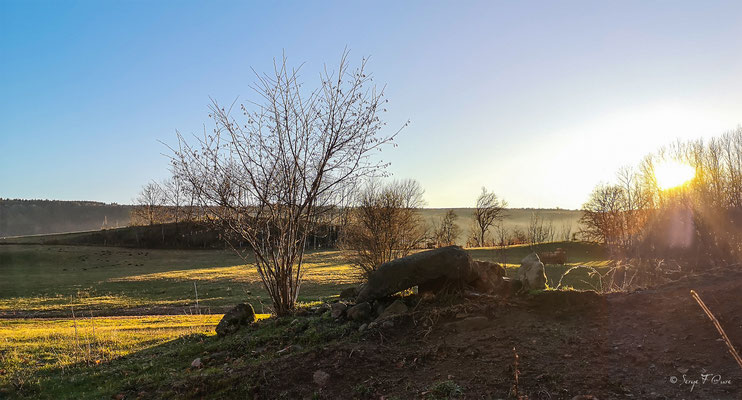 En revenant des Escures Hautes, direction la Quartelade – commune de Murat-le-Quaire.