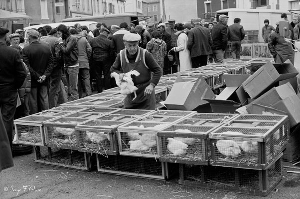 Foire de Giat (les volailles) - Auvergne - France (1978)
