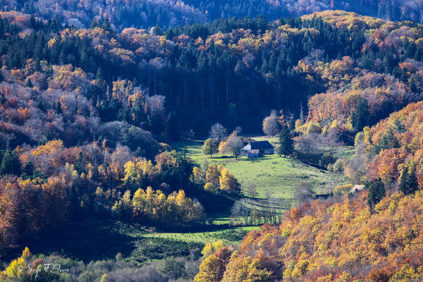 Le buron du lieu-dit Chibet sur la commune de St-Sauves d'Auvergne en automne - Massif du Sancy - Auvergne - France