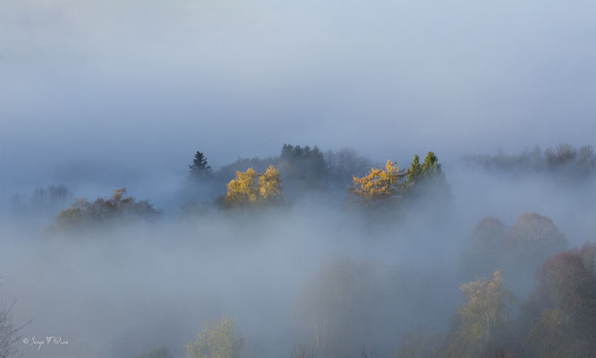 Mer de nuages dans le Massif du Sancy - Auvergne - France