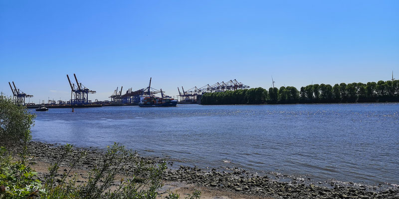 Sur le bord de l'Elbe - Hambourg - Allemagne - Hamburg - Deutchland