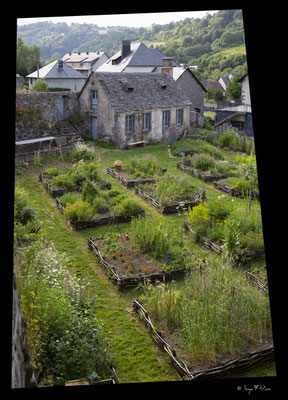 Jardin médiéval - Besse et Saint-Anastaise - Massif du Sancy - Auvergne - France 