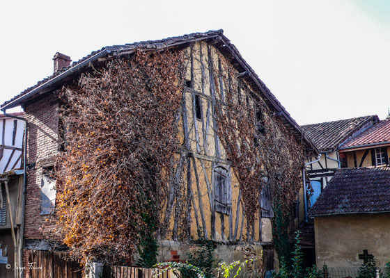 Ancienne maison à Eauze - Gers - Pays de l'Armagnac - France - Sur le chemin de Compostelle 