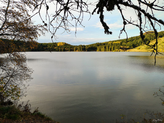 Au bord du lac du Guéry  - Massif du Sancy - Auvergne - France