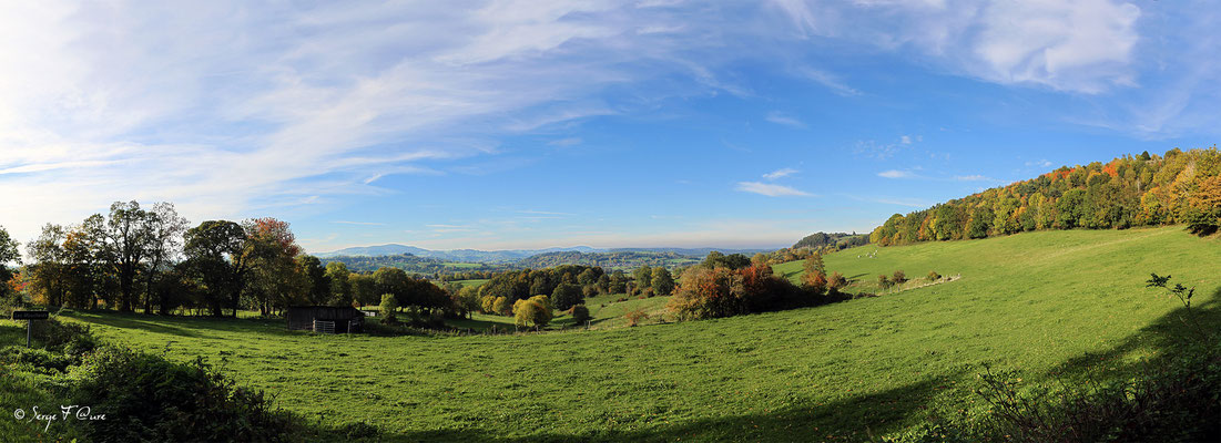 Au gré des champs dans le massif du Sancy - Auvergne - France