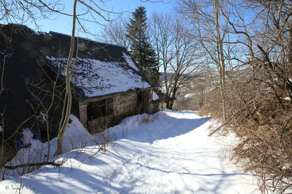 L'Usclade - Petit hameau de Murat le Quaire - Massif du Sancy - Auvergne - France