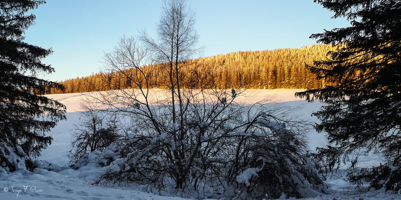 Coucher de soleil sur paysage de neige à Murat le Quaire - Massif du Sancy - Auvergne - France