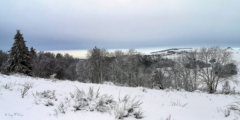 Paysage de neige à Murat le Quaire - Massif du Sancy - Auvergne - France