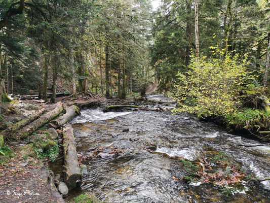 En allant à la cascade du Rossignolet - Le ruisseau de l'enfer - le Mont Dore - Massif du Sancy - Auvergne - France