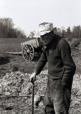 Paysans au champ - Le tombereau de fumier - Auvergne (1978)