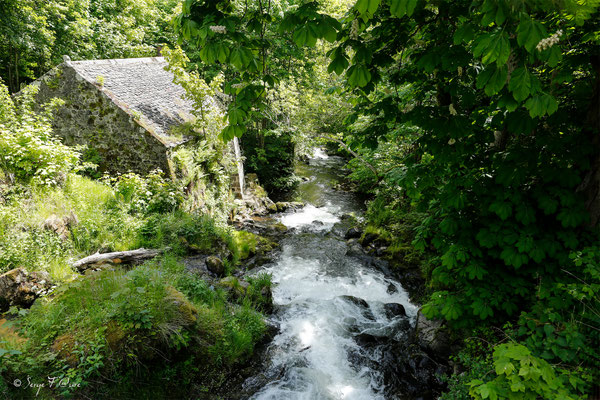 Sentier permettant d'aller à la rivière "La Couze Pavin" - Besse et Saint-Anastaise - Massif du Sancy - Auvergne - France