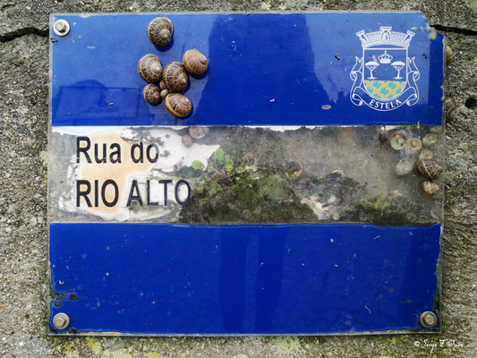  - Sur le chemin de Compostelle par le littoral