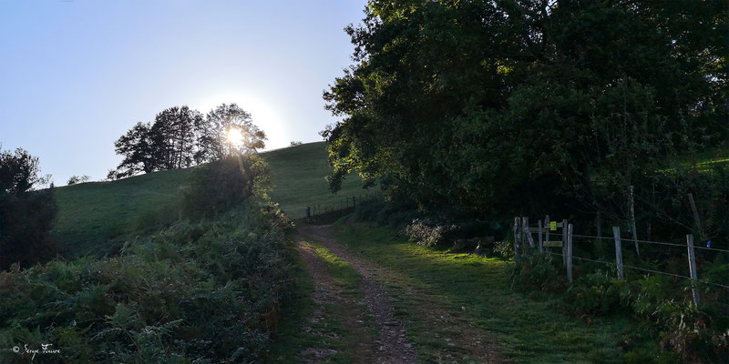 Après St-Jean-Pied-de-Port en montant au col de Roncevaux pour accéder à la partie Espagnole - Sur le chemin de Compostelle