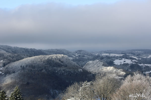 Vers Châteauneuf commune de St-Sauves d'Auvergne sous la neige - Massif du Sancy - Auvergne - France