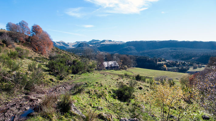 Lieu-dit "Chez Tamboine"  - Massif du Sancy - Auvergne - France