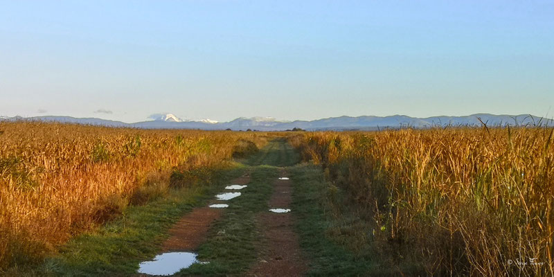 En allant de Leon à Astorga - Sur le chemin de Compostelle