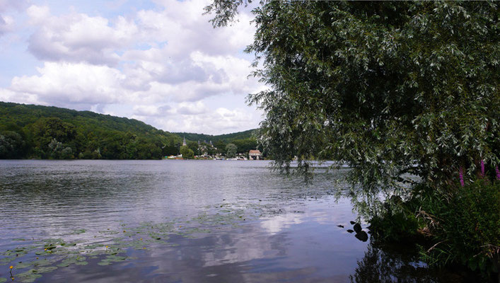 Vernon 2008