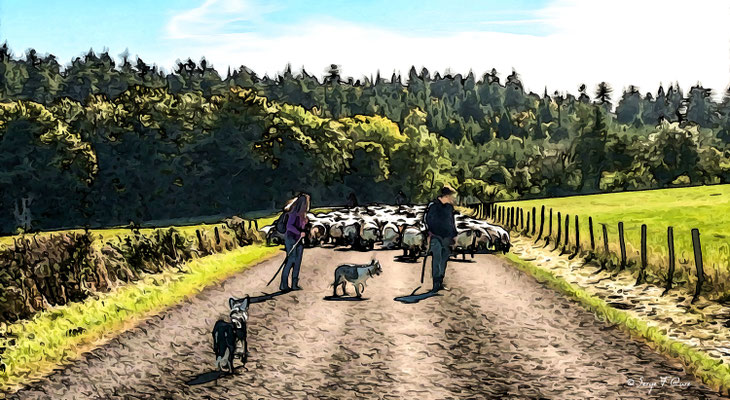 "la transhumance" en photo peinture