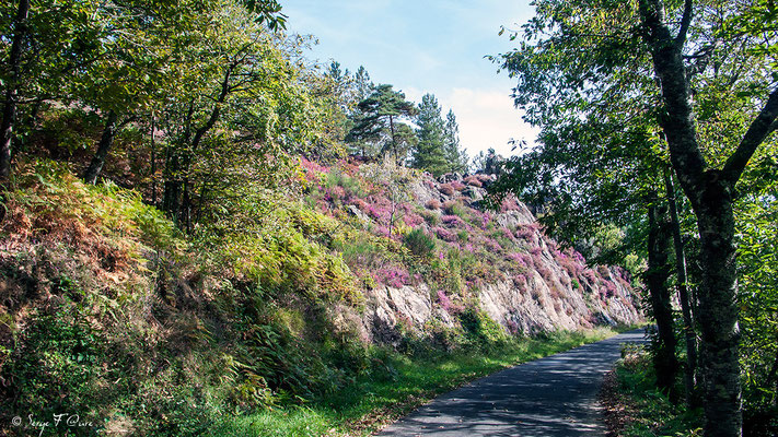 En allant vers Golinhac - France - Sur le chemin de St Jacques de Compostelle (santiago de compostela) - Le Chemin du Puy ou Via Podiensis (variante par Rocamadour)