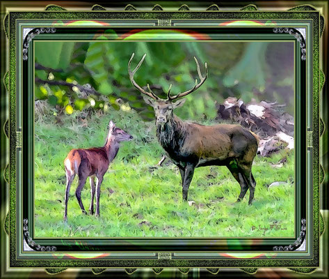 La biche et le cerf - Photo façon tableau peinture Serge Faure
