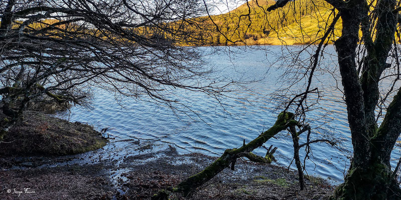 Au bord du lac du Guéry  - Massif du Sancy - Auvergne - France