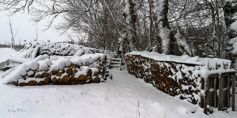 Tas de bois à Murat le Quaire - Massif du Sancy - Auvergne - France
