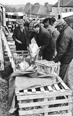 Foire de Giat - Auvergne - France (1978)