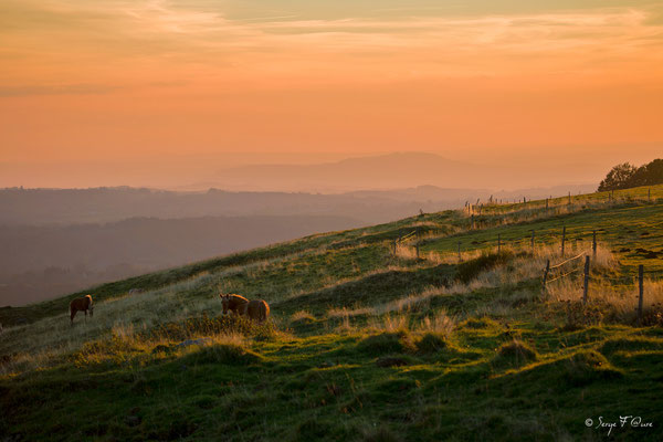 Soleil rasant dans le massif du Sancy, près de la Stelle - Auvergne - France